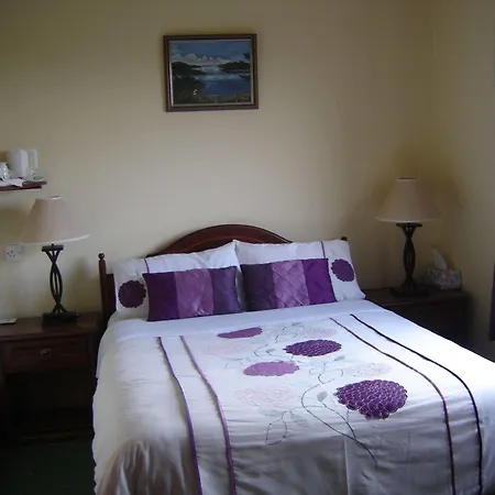 Springlawn Bed & Breakfast Clarinbridge